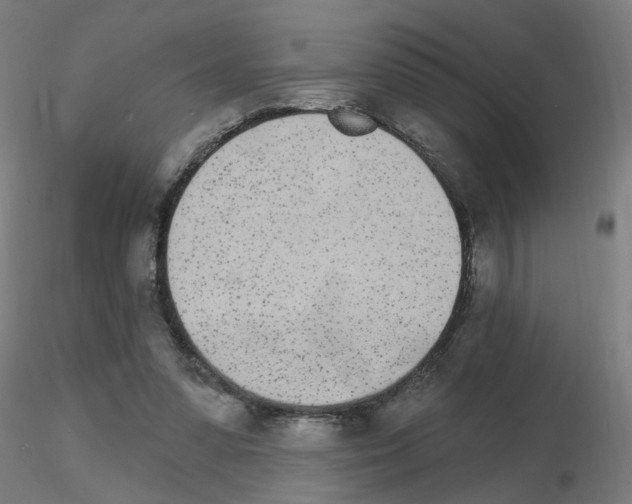 X0000115650303200912221337