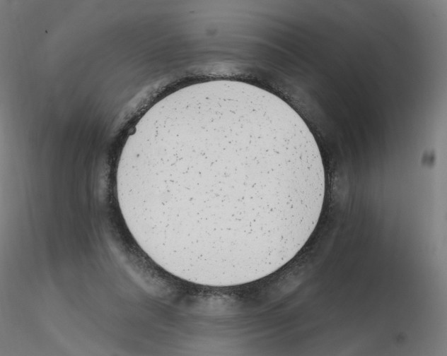 X0000115650304200912221337