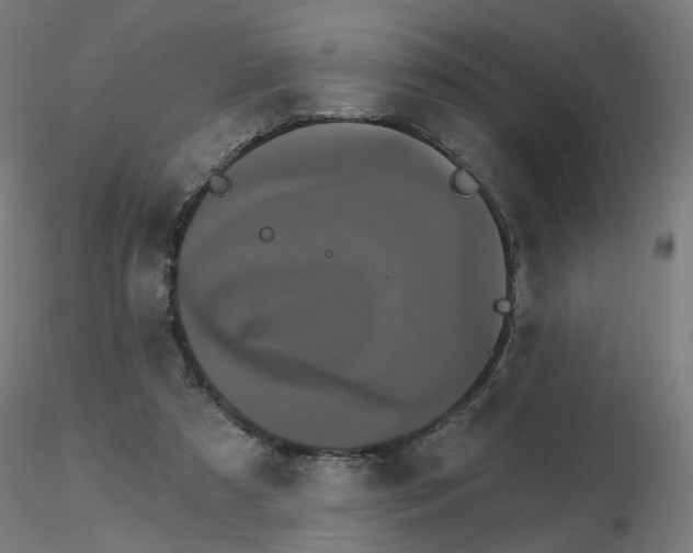 X0000115650305200912221336