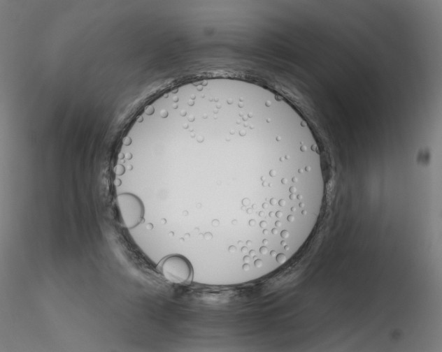X0000115650306200912221336