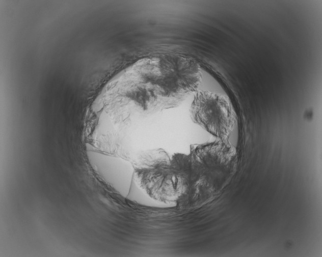 X0000115650307200912221336