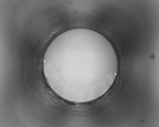 X0000115650308200912221336