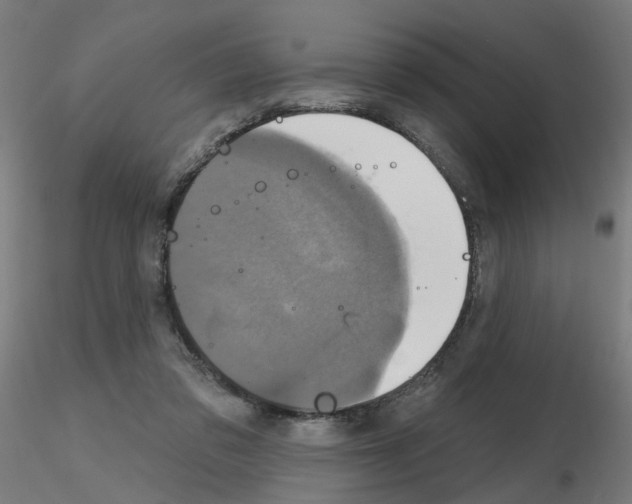 X0000115650309200912221336