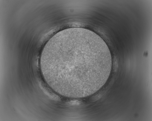 X0000115650310200912221336