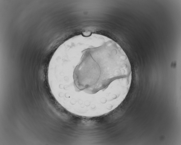 X0000115650311200912221336