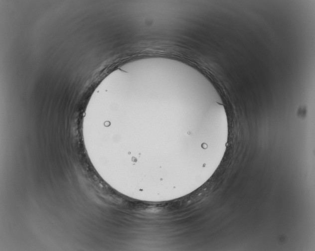 X0000115650312200912221336