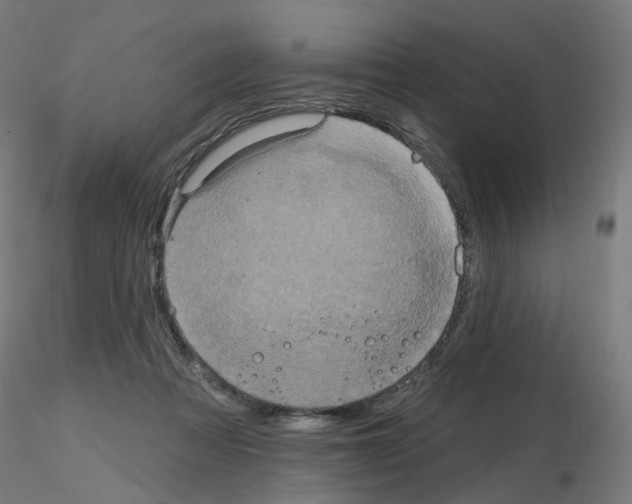 X0000115650313200912221336