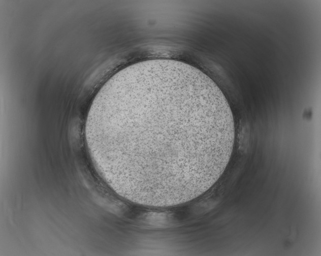 X0000115650314200912221336