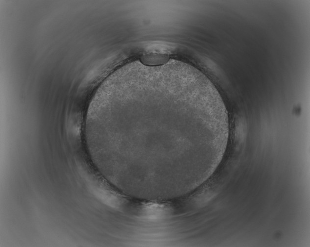 X0000115650315200912221336