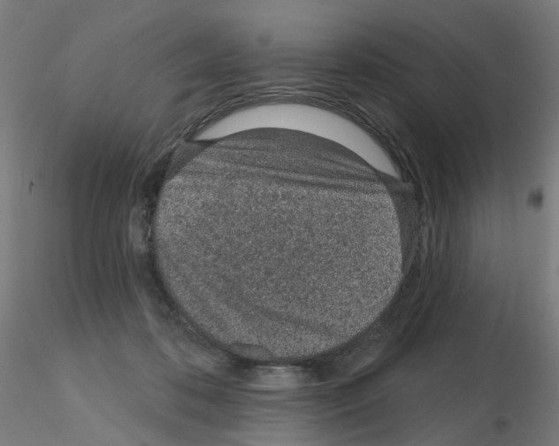 X0000115650316200912221336