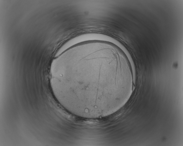 X0000115650317200912221336