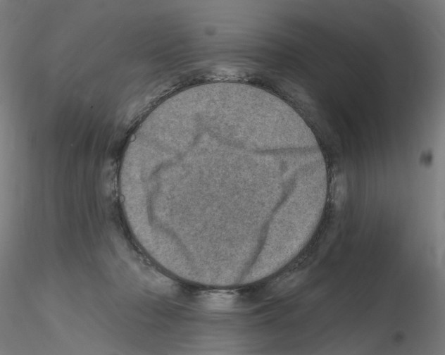 X0000115650318200912221336