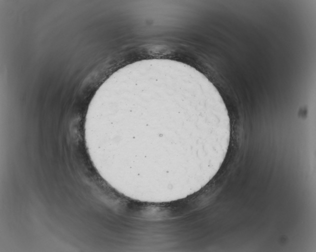 X0000115650319200912221336