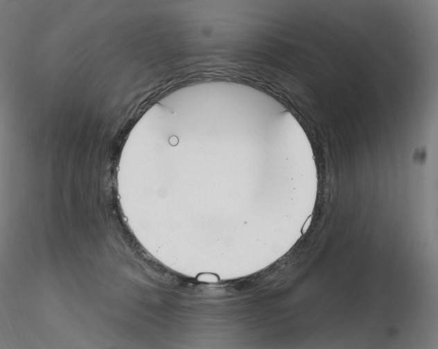X0000115650320200912221336