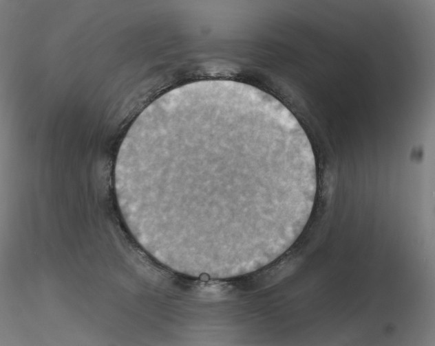 X0000115650321200912221336
