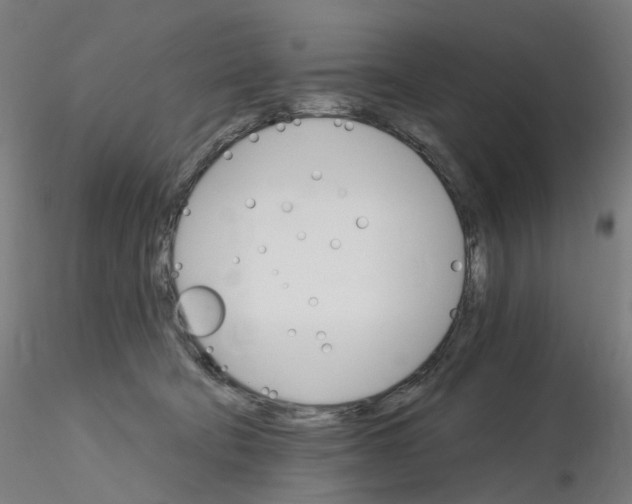 X0000115650322200912221336