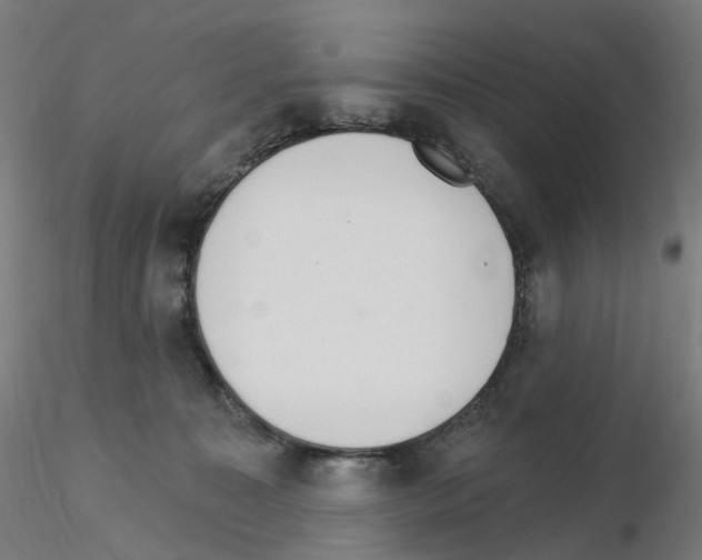 X0000115650323200912221336