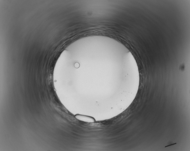 X0000115650324200912221336