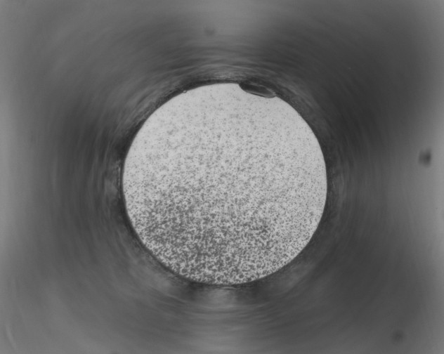 X0000115650325200912221336
