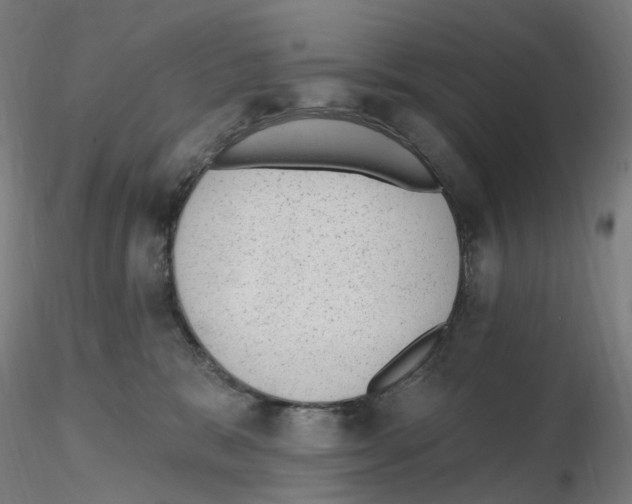 X0000115650327200912221336