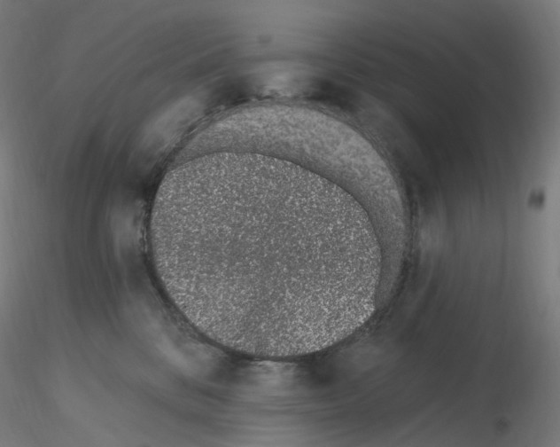X0000115650328200912221336
