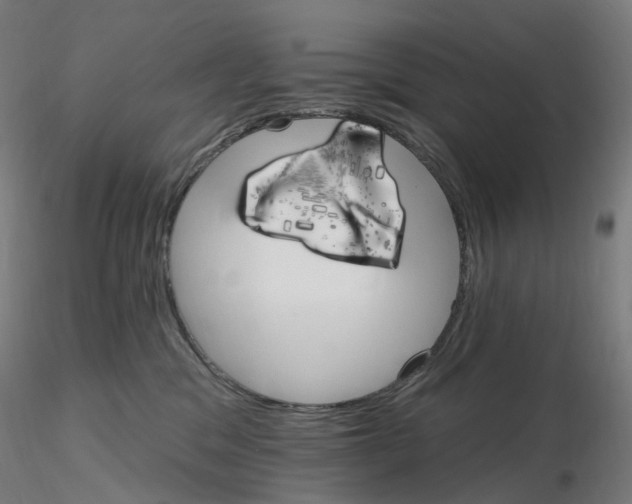 X0000115650329200912221336