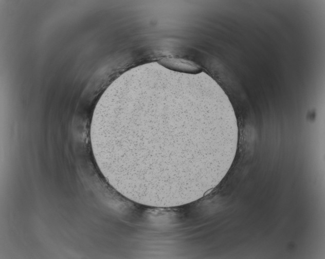 X0000115650331200912221336
