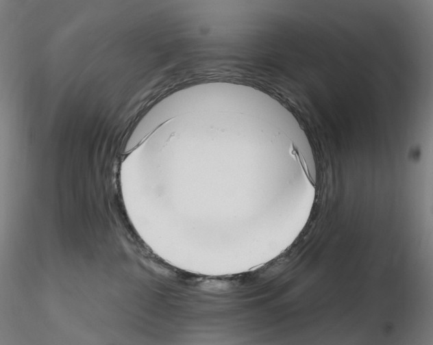 X0000115650332200912221336
