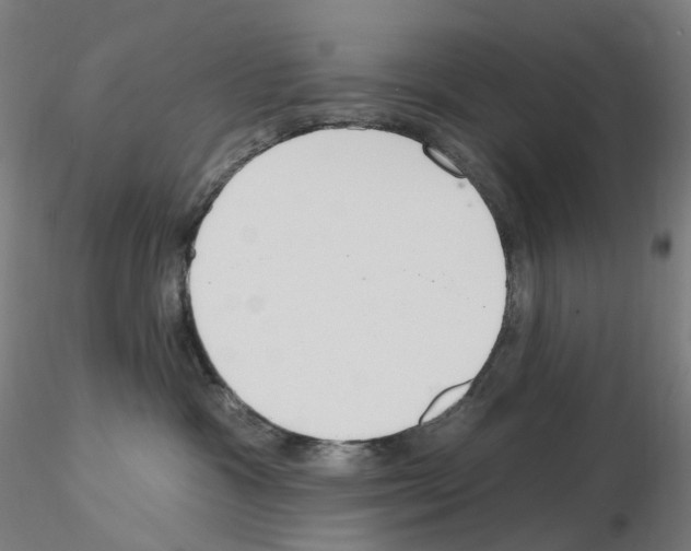 X0000115650333200912221336
