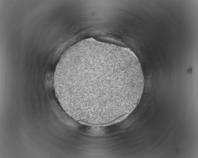 X0000115650335200912221336