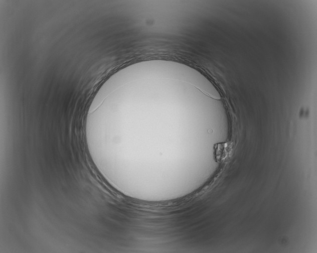 X0000115650336200912221336