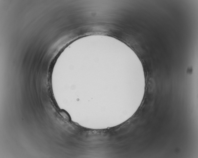 X0000115650338200912221335