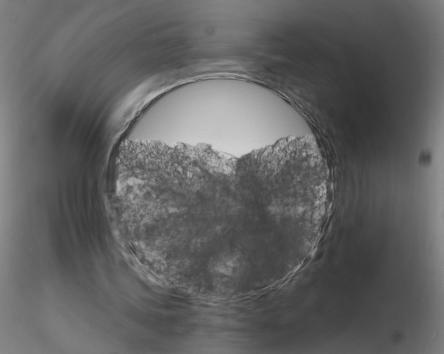 X0000115650339200912221335