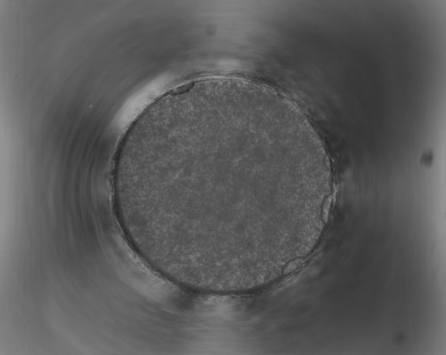 X0000115650341200912221335