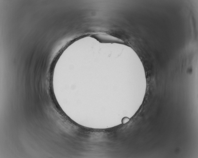 X0000115650342200912221335