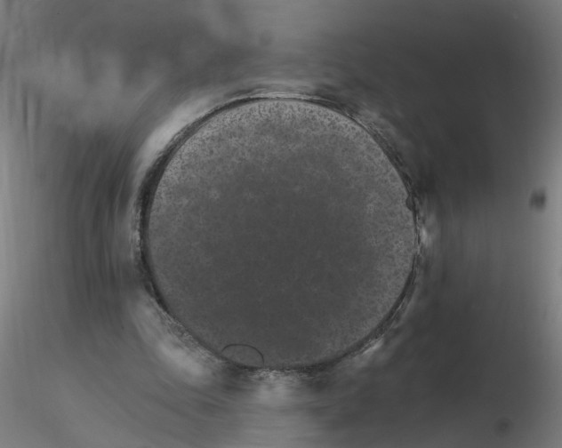 X0000115650343200912221335