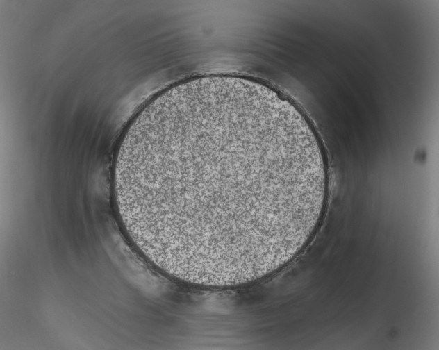X0000115650345200912221336