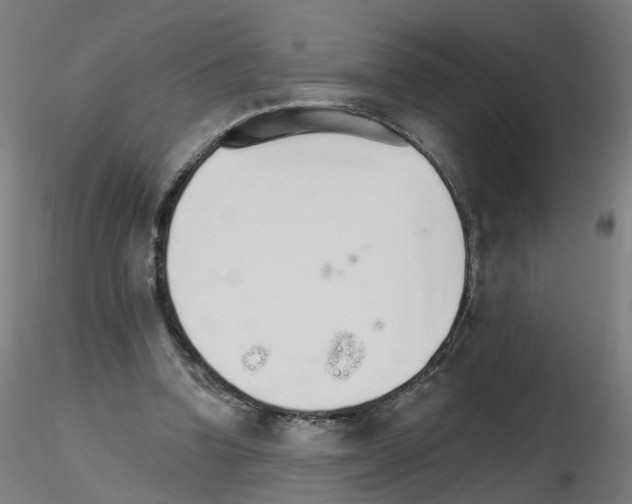 X0000115650346200912221336