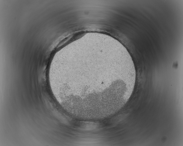 X0000115650347200912221336