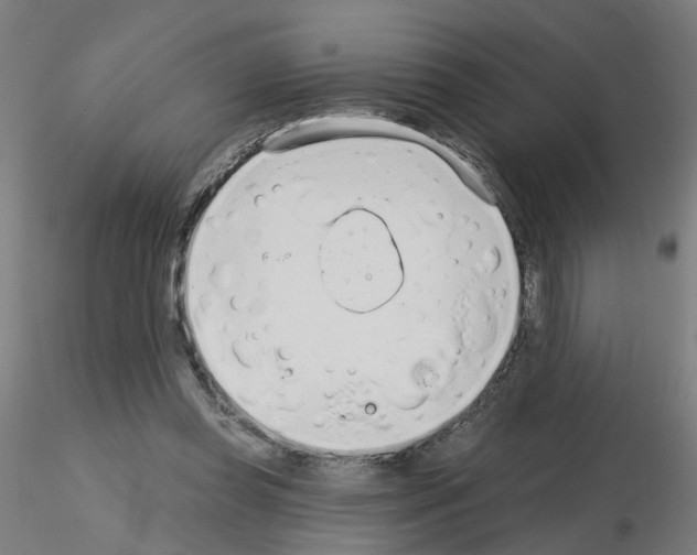 X0000115650349200912221336
