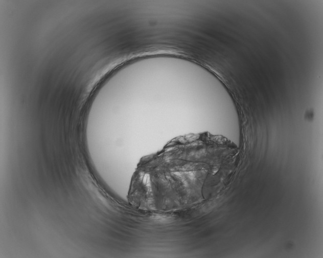 X0000115650350200912221336