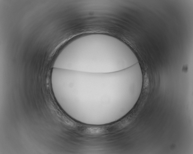 X0000115650351200912221336