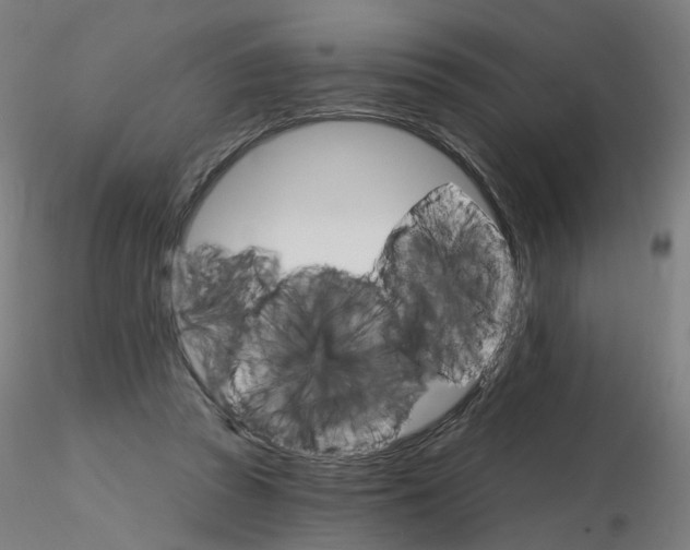 X0000115650353200912221336