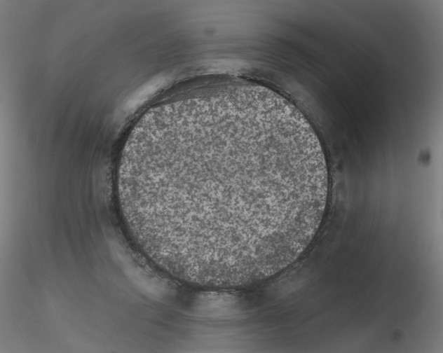 X0000115650354200912221336