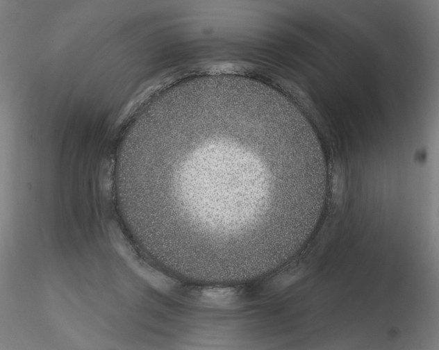 X0000115650357200912221336