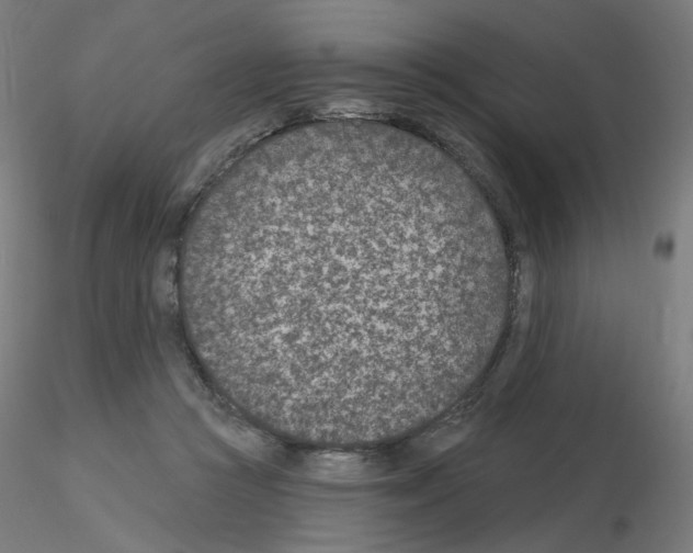 X0000115650361200912221336