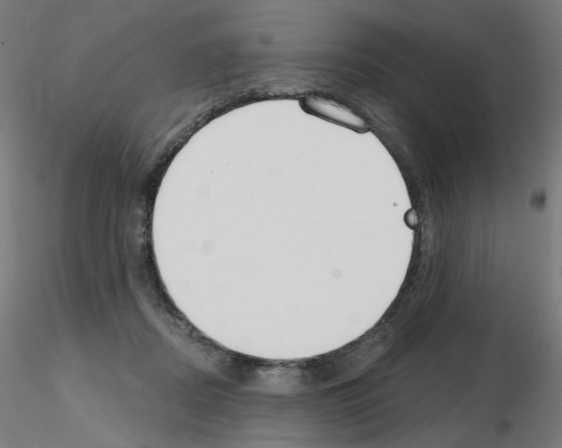 X0000115650362200912221336