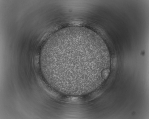 X0000115650365200912221336
