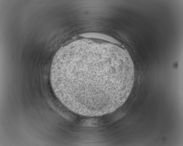 X0000115650366200912221336