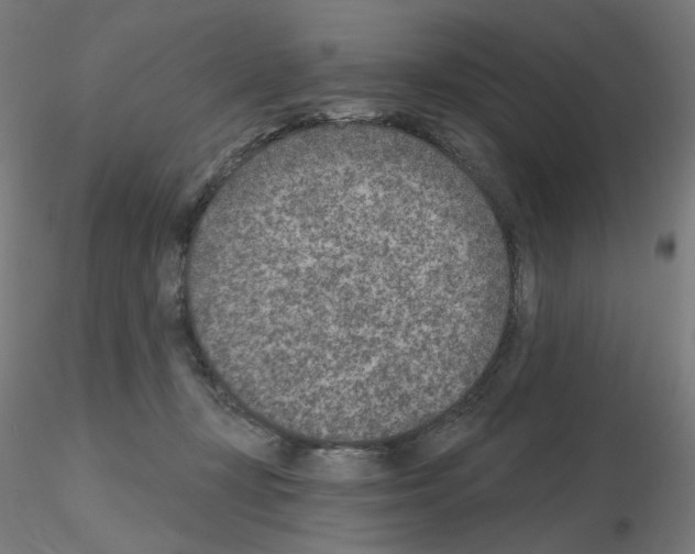 X0000115650367200912221336